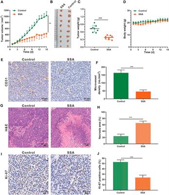 Saikosaponin A, a Triterpene Saponin, Suppresses Angiogenesis and Tumor Growth by Blocking VEGFR2-Mediated Signaling Pathway